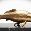Koi Karper Goud XL Koi Karper Goud XL