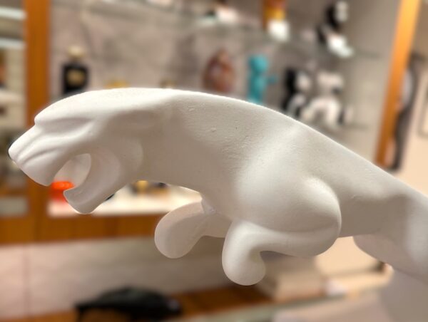 jaguar wit detail Jaguar Wit XL