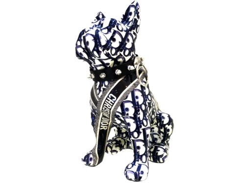 Dior Dog Dior Dog