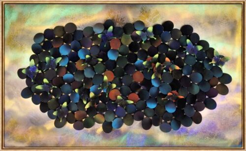 Morpho Flight XL - Mart Krijger