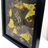 dreamflight LV zijk Butterfly LV
